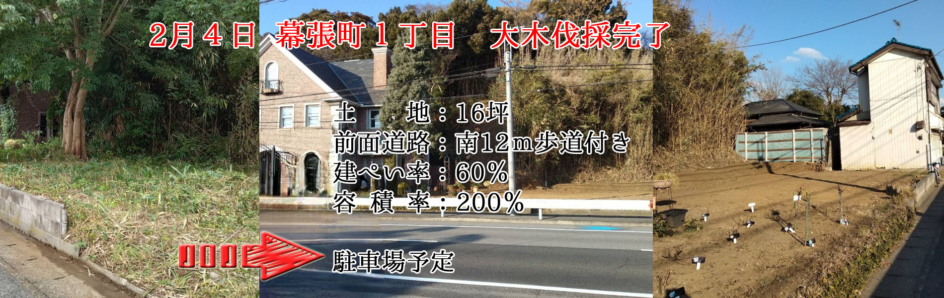 幕張１丁目土地　大木伐採