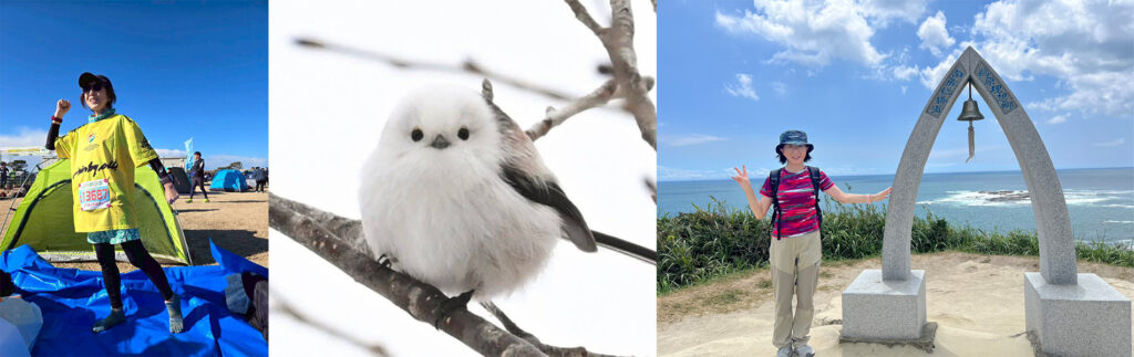 小野澤真琴
